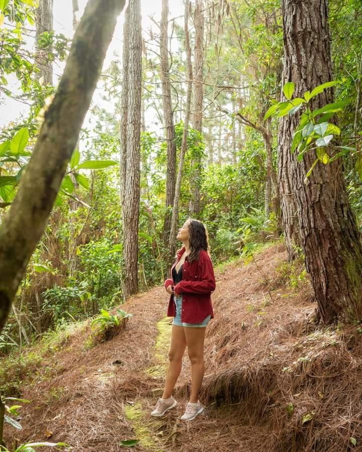 Cabanas El Bosque 图里亚尔瓦 外观 照片