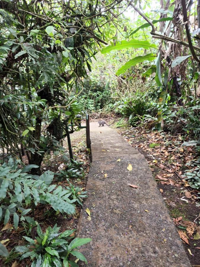 Cabanas El Bosque 图里亚尔瓦 外观 照片