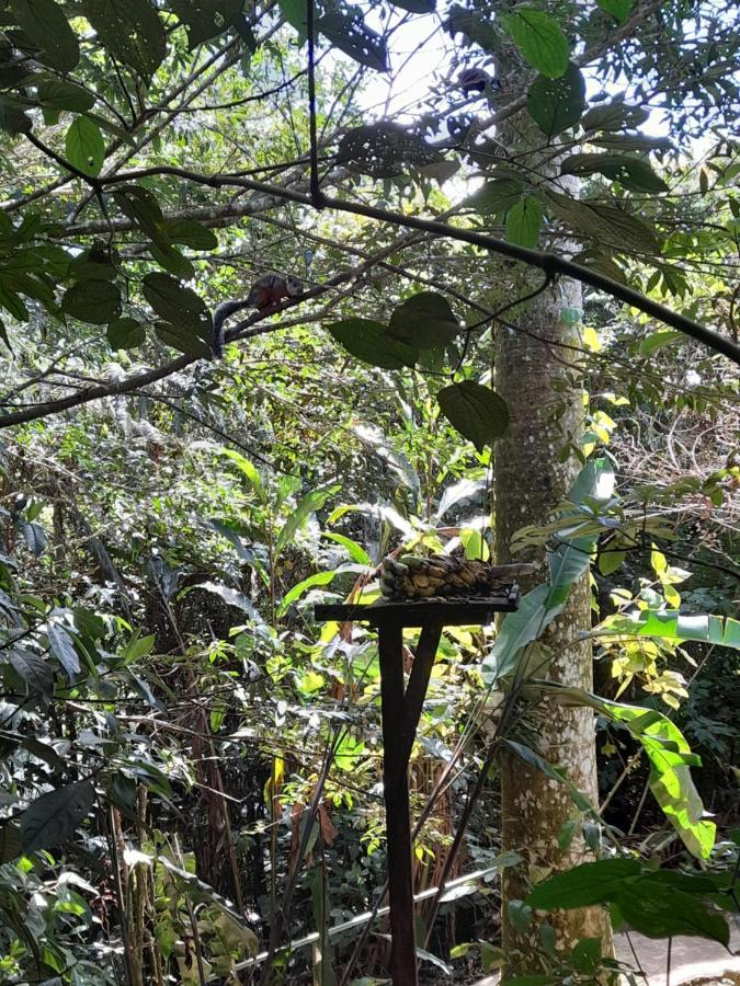 Cabanas El Bosque 图里亚尔瓦 外观 照片