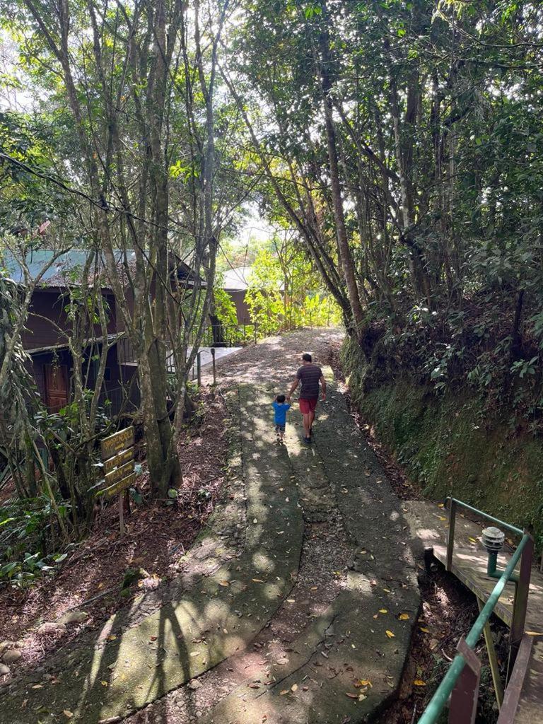 Cabanas El Bosque 图里亚尔瓦 外观 照片