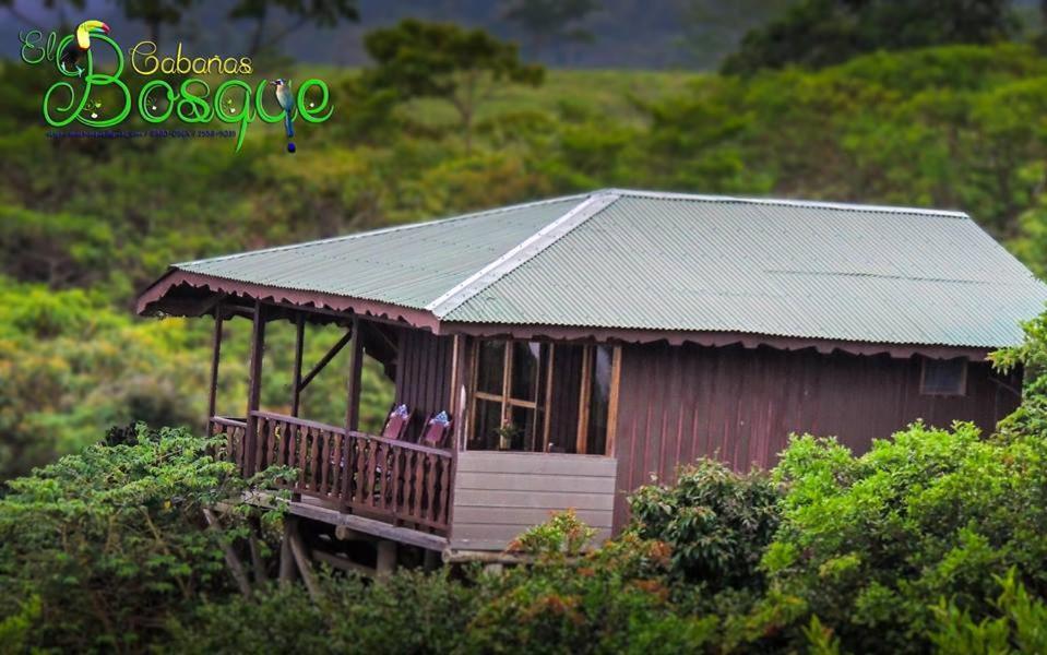Cabanas El Bosque 图里亚尔瓦 外观 照片